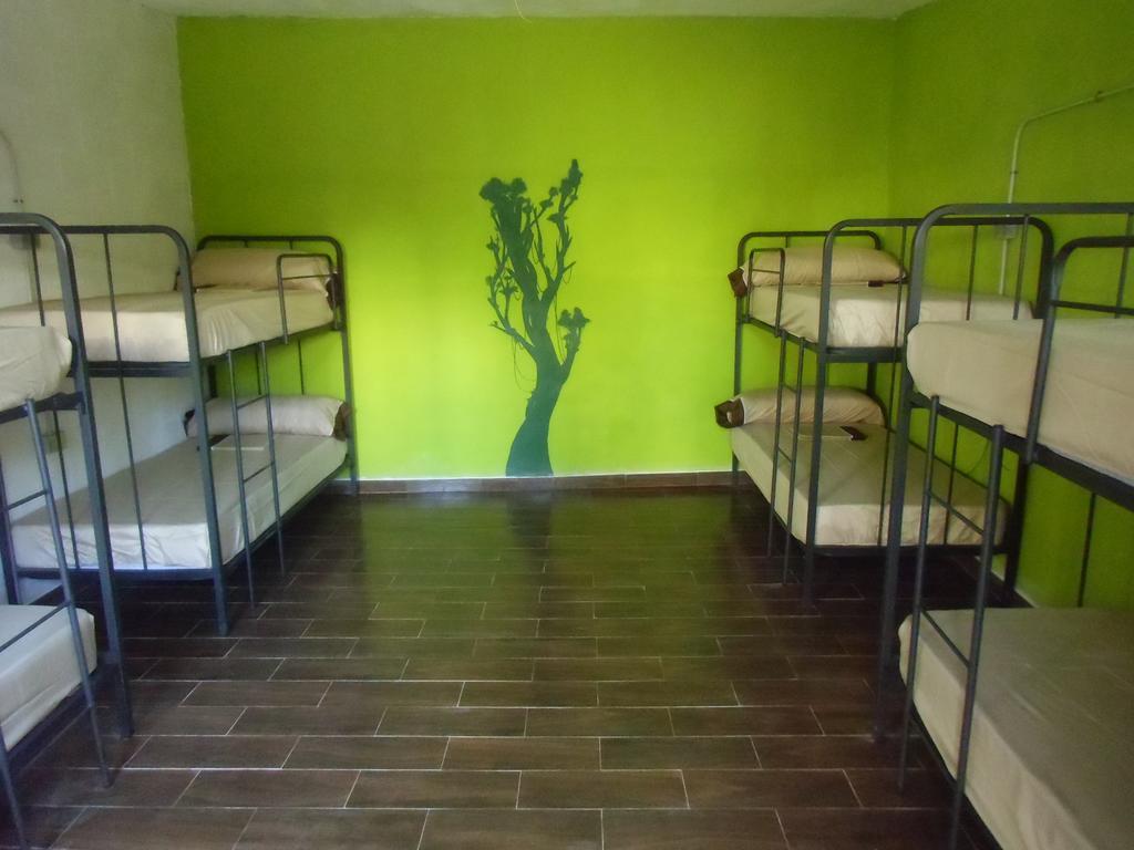Hakuna Matata El Campello Room photo